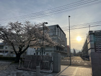 9E663711-626E-4828-98ED-B2B2B64CED94