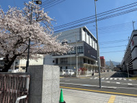 photo_20260404-020855_3